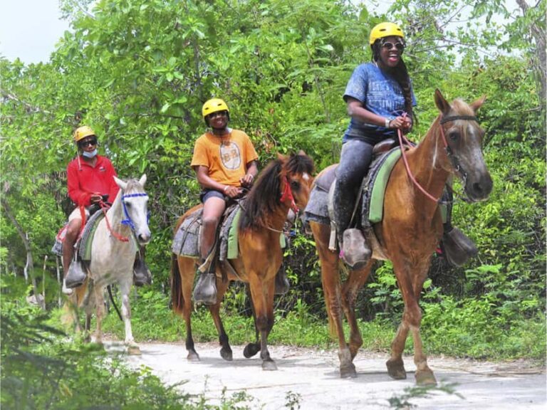 Horseback Riding Macao Beach Experience Paradise onHorseback - What to Know Before You Go