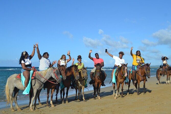 Horseback Riding on Puerto Plata - Transportation and Logistics
