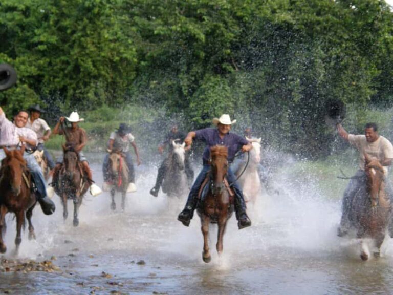 Horseback Riding Tour of Punta Cana - Who This Tour Suits Best