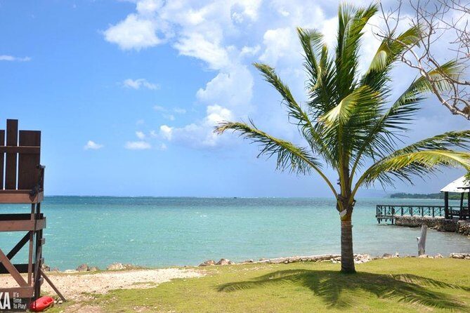 Horseback Riding/Zipline Combo Tour at Chukka Ocean Outpost with Transportation - The Experience: What to Expect