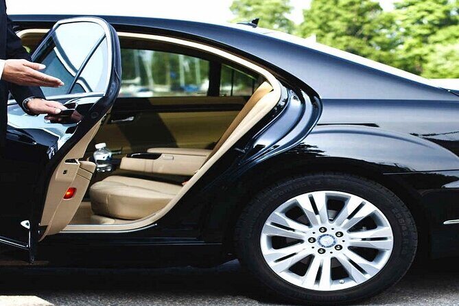 International Airport VIP Service(Expedited Arrival)& Free Transfer - No waiting - Realistic Expectations and Review Insights