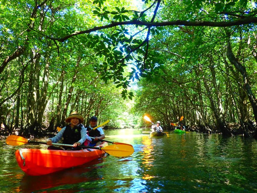 Iriomote Island: SUP or Canoeing and Canyoning Tour - Who Is This Tour Best For?