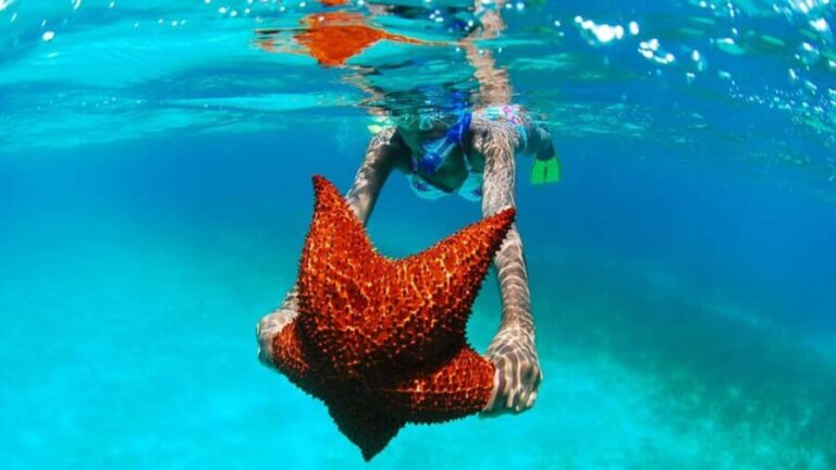 isla saona día completo - Practical Details and Tips