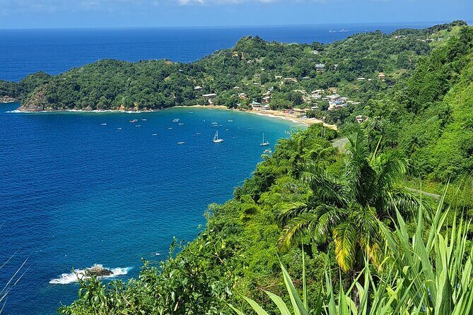 Island Tour (Food and Drinks include) - The Experience: What to Expect