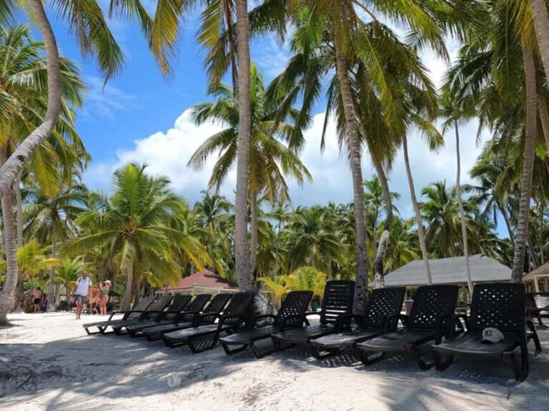Juan Dolio: Saona Island Full-Day Tour with Lunch & Drinks - Detailed Breakdown of the Experience