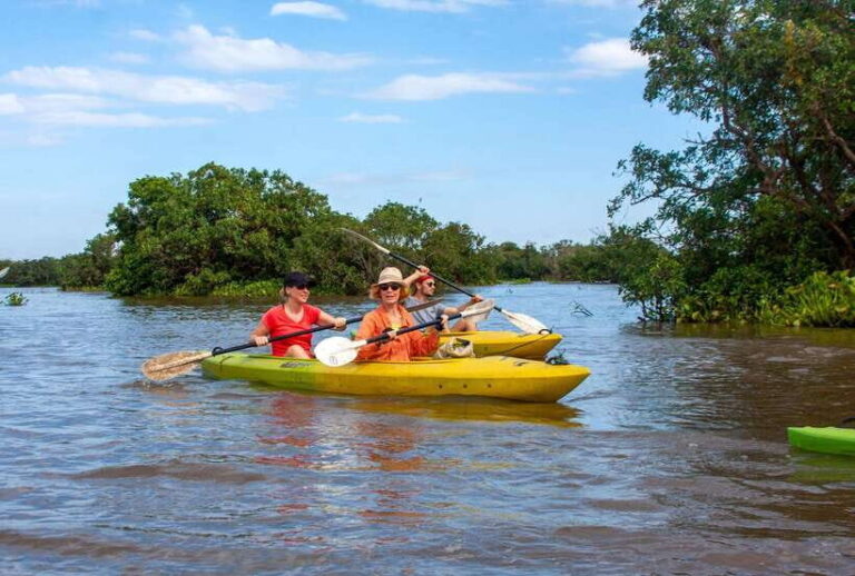 Kayaking & Floating Village in Siem Reap - What You Can Expect from the Tour