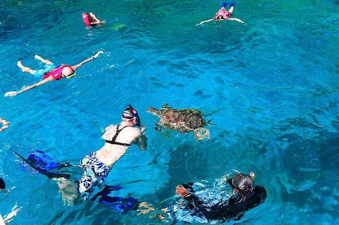 Khao Lak to Similan Islands Snorkeling Tour - Transport, Timing, and Group Dynamics