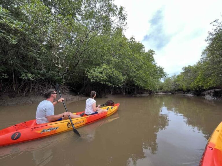Koh Lanta: Amazon Mangrove Kayaking Tour With Lunch - Detailed Breakdown of the Itinerary
