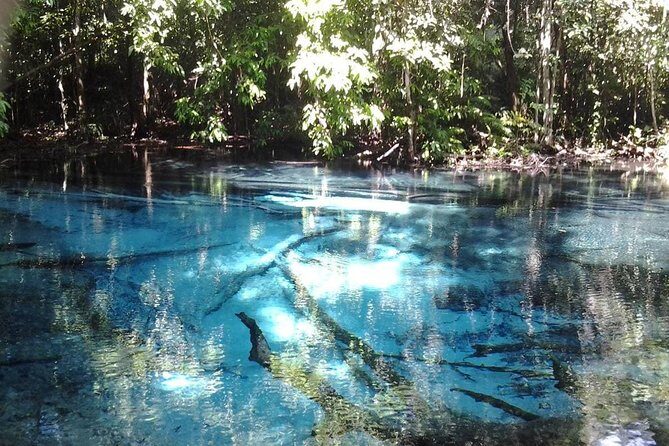 Krabi Emerald Pool, Hot Spring and Tiger Temple - Analyzing the Value
