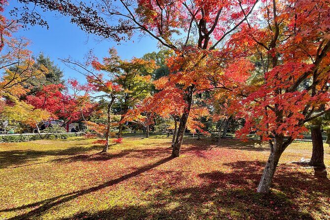 Kyoto: Kinkaku-ji Temple & Serene Garden Guided Tour with Tickets - Why This Tour Offers Great Value