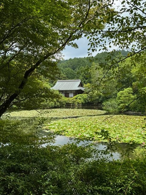 Kyoto: Ryan-ji, Greatest Zen Garden Guided Tour in 90 Min. - The Itinerary in Detail
