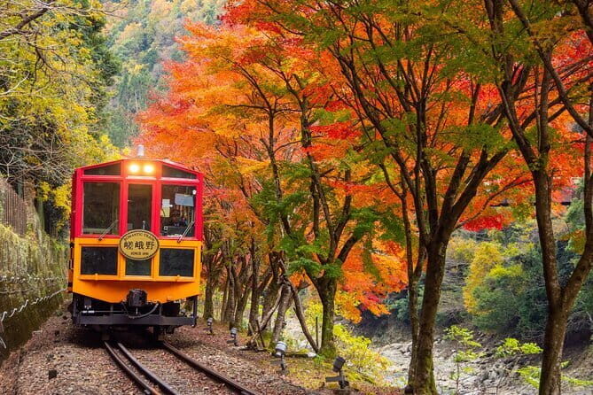 Kyoto Sagano Romantic Train in Arashiyama Bus Tour - Price and Value