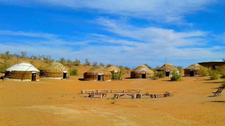 Kyzylkum Desert tour from Samarkand (1Night 2 Days) - Who Is This Tour Best For?