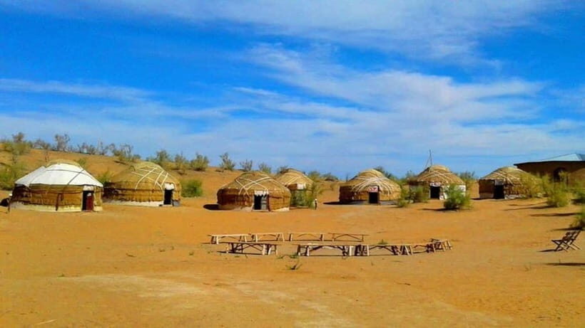 Kyzylkum Desert tour from Samarkand (1Night 2 Days) - Who Is This Tour Best For?