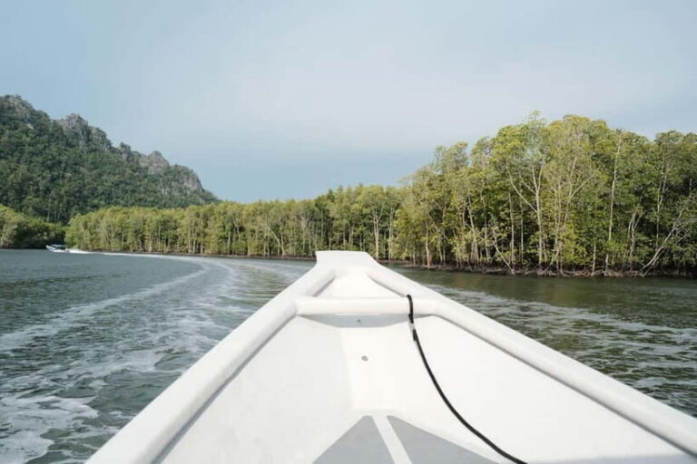 Langkawi: Private 2-Hour Mangrove Tour with Hotel Transfer - The Itinerary: What to Expect