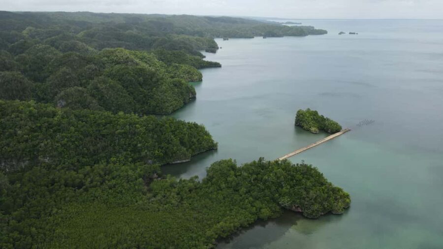 Las Terrenas: Los Haitises Boat and Walking Tour with Lunch - Transportation & Duration