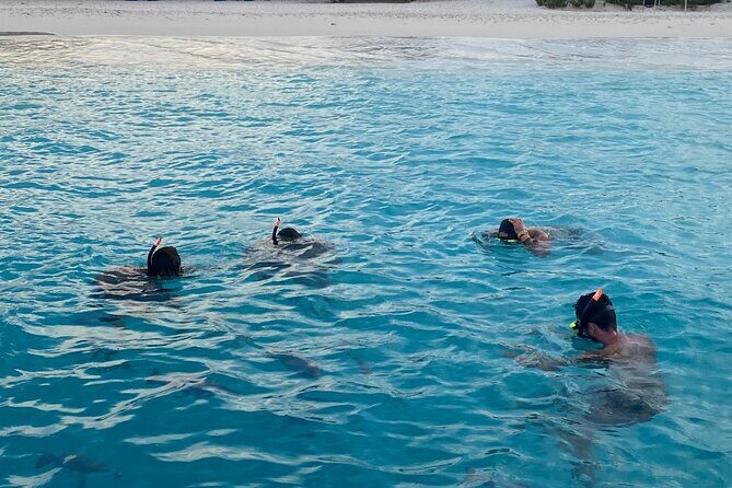 Luxury and Private Snorkel with Beach and Sunset View - Who Is This Tour Best For?