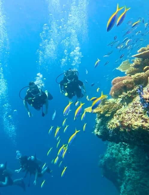 Maafushi: Discover Scuba Diving Class, First Time Experience - Who Should Consider This Tour?