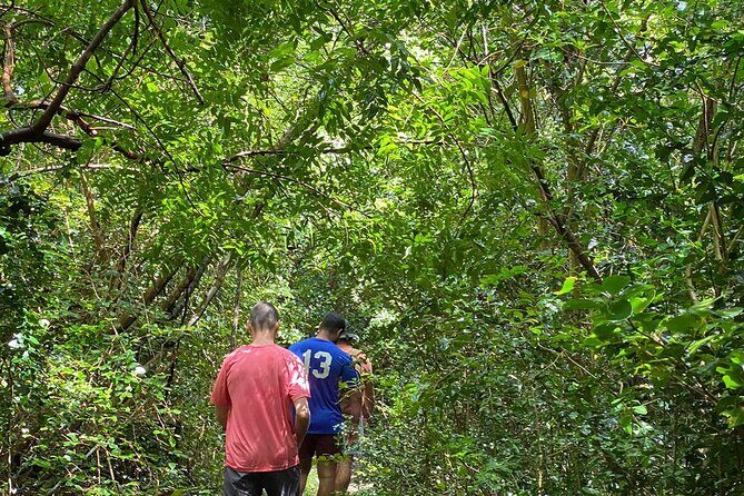 Magens Bay Trail Hiking Tour - Who Might Want to Consider Other Options?