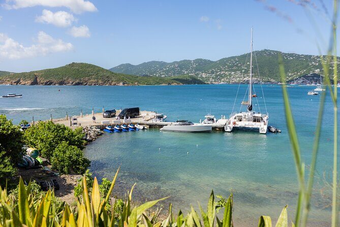 Maho Bay Turtle Snorkel with Lunch and Bar at Frenchman's Reef - Who Will Love This Tour?
