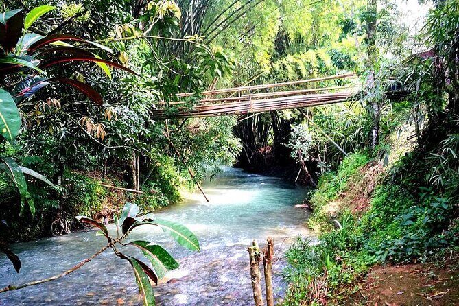 Mayfield Falls, Blue Hole & Rick's Café Tours/Weed Farm option - What Travelers Say