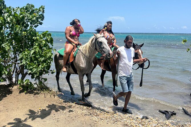 Montego Bay Beach Horseback Riding Tour - Value for Money and Practical Considerations
