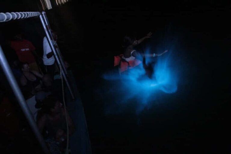 Montego Bay: Luminous Lagoon Evening Boat Tour - Real Traveler Perspectives