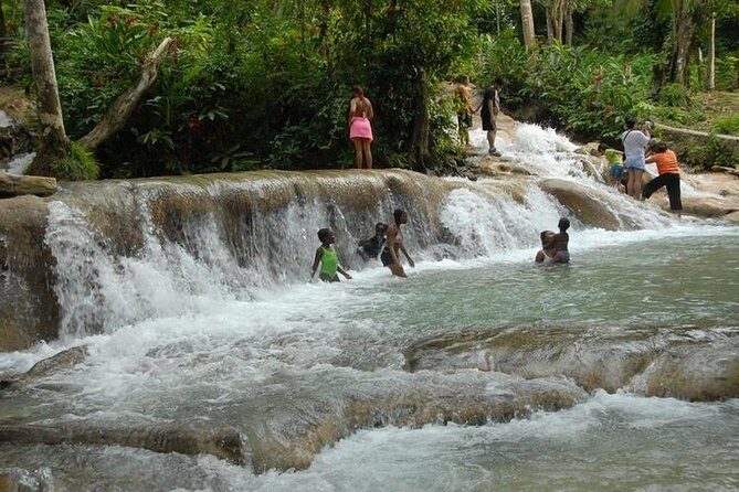 Montego Bay tour: Dunn's River Falls - Analyzing the Value
