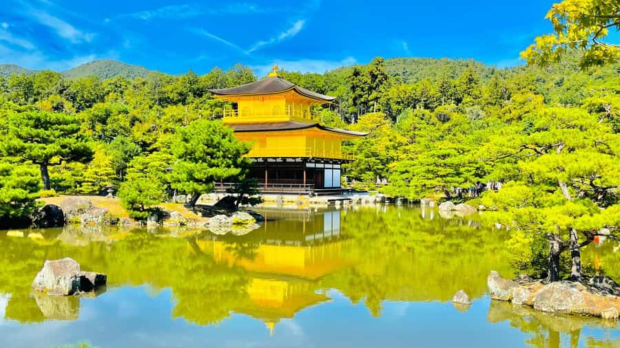 Mount Fuji Customize Private Tour with English Driver - What to Expect from This Tour
