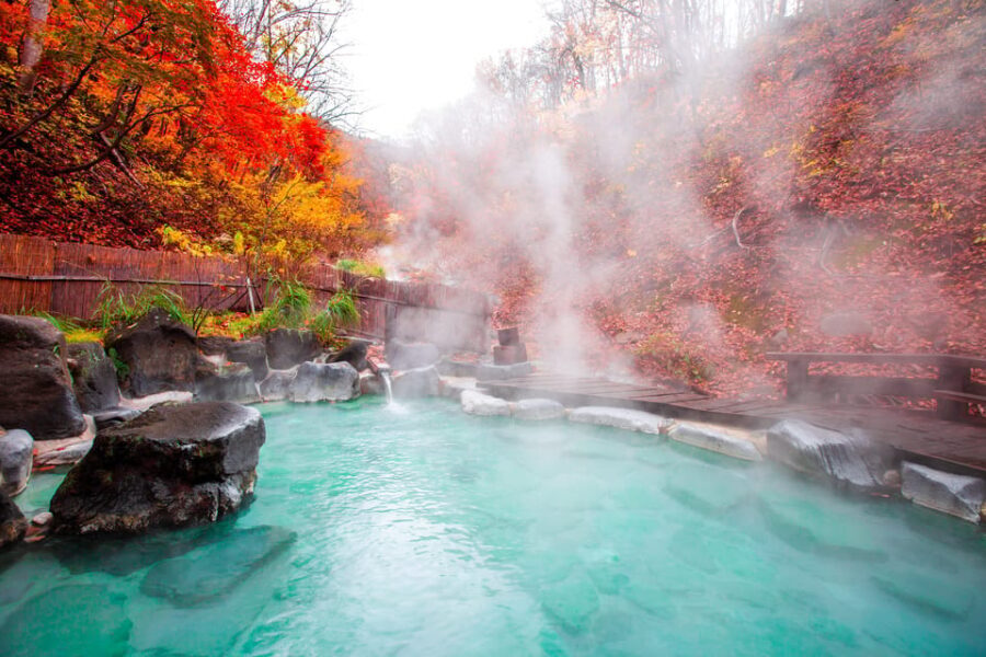 Mount Fuji - Hakone & Onsen Full Day Private Tour - Who Is This Tour Best For?