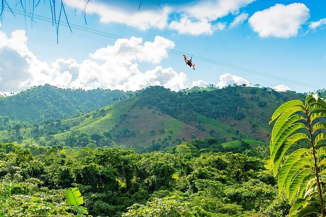 Mountain Zipline Half Day Adventure from Punta Cana - Value and Practical Tips