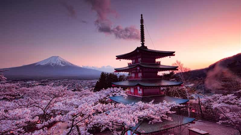 Mt Fuji Tour With Experienced English Driver - Who Is This Tour Best For?