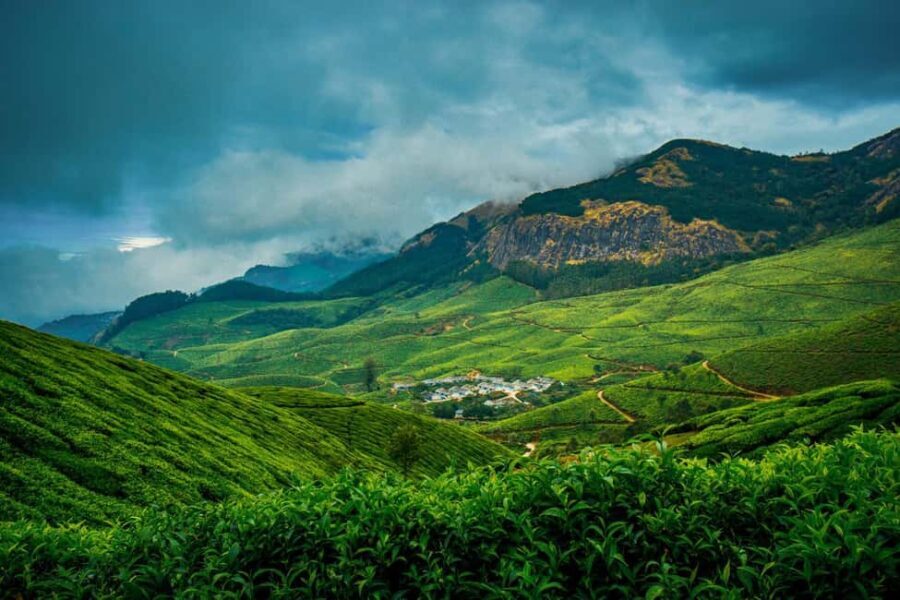 Munnar : Private One Day Tour from Kochi. Free Pickup-Drop - What You Can Expect