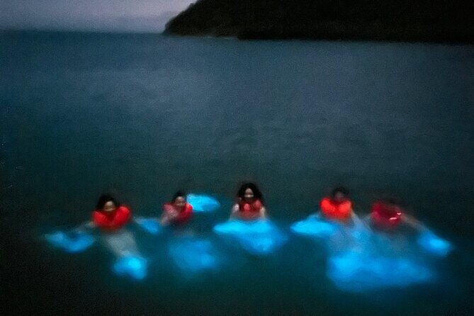 Mystic Waters A Bioluminescent Night Tour - Final Thoughts: Is It Worth It?