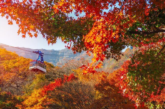 Naejangsan National Park Autumn Foliage One Day Tour from Seoul - Who Should Consider This Tour?
