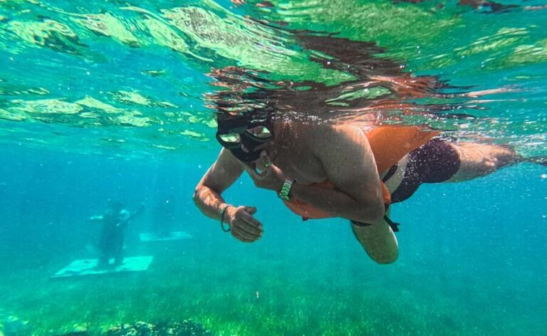 Nassau: Reef Glass Bottom & Snorkel Tour - What the Tour Includes and Practical Details