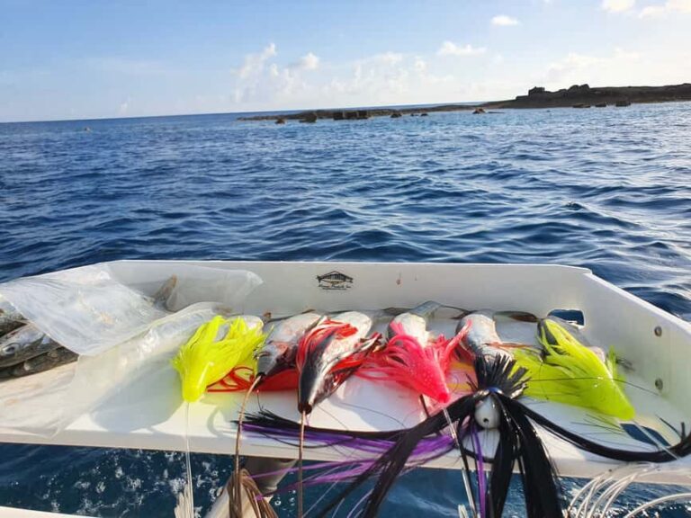 Nassau: Sport-fishing private charter . - The Flipside: What Could Be Better