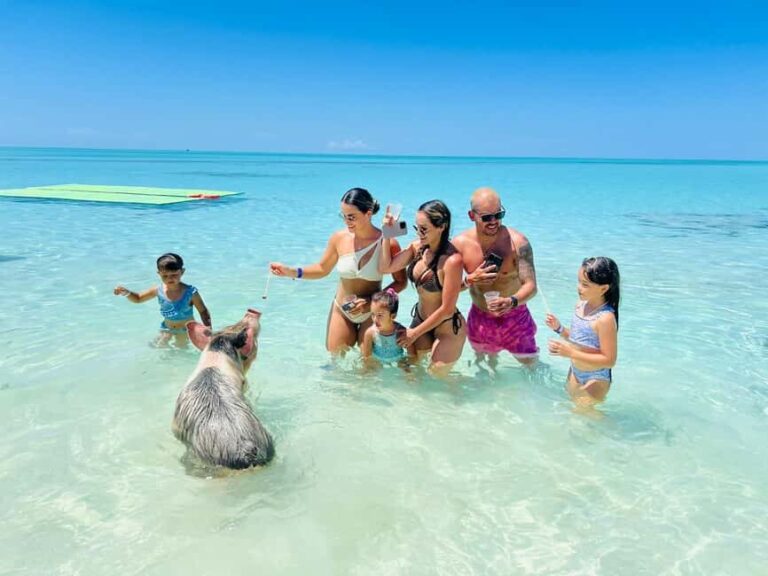 Nassau: Swimming Pigs, Turtles, Snorkel & More - What Makes This Tour Stand Out?