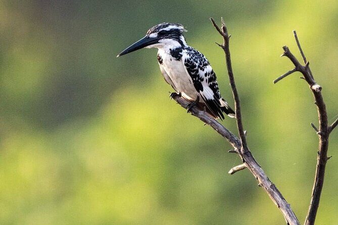 Negombo Lagoon & Muthurjawela Bird Watching Boat Tour - Breaking Down the Itinerary