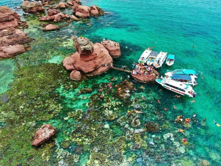 Nha Trang City Sightseeing Tour: Nha Phu Bay, Monkey Island - The Value of This Tour