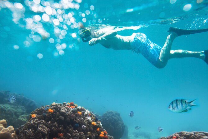 Nha Trang Half-Day Snorkeling Adventure at Marine Park with BBQ - What Past Travelers Say