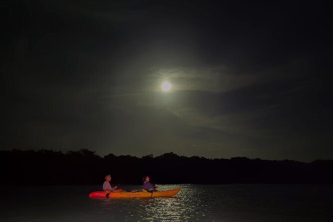 Night Mangrove Kayak Tour - The Magic of the Night Paddle