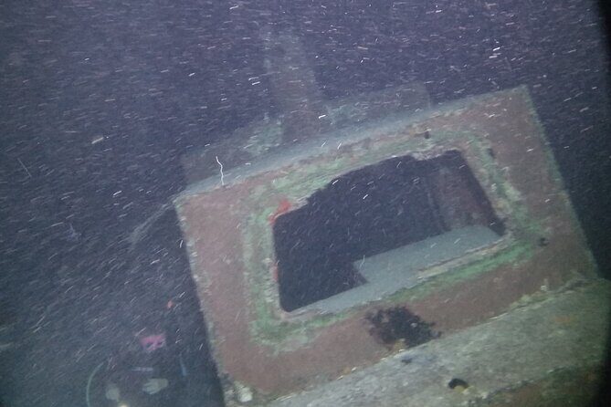 Night Shore Diving Mangel Halto Aruba for Certified Divers - The Value Proposition: Why This Tour Is a Good Choice