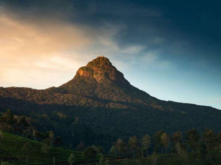 Nuwara Eliya to Summit Bliss: Adams Peak Overnight Hike - Practical Details and What to Expect