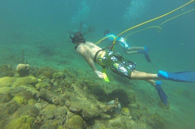 OCTOPUS DIVING (hookah diving) NO Experience Needed - Meeting Point and Logistics