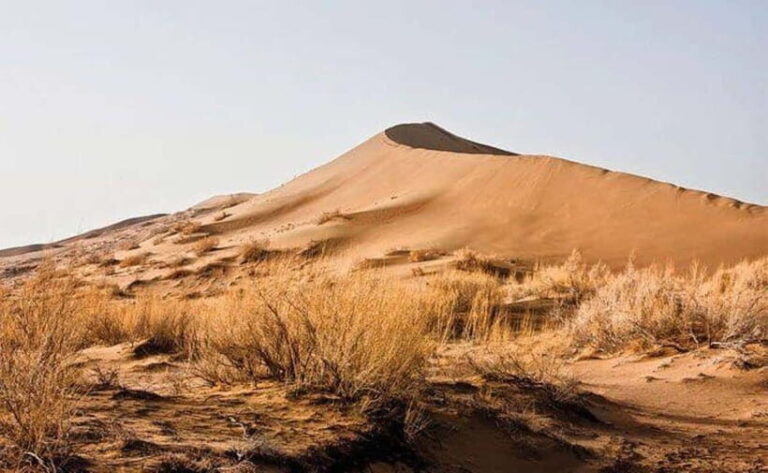 One Day Tour to Altyn-Emel: Singing Dune and Aktau Mountain - What’s Included and What’s Not