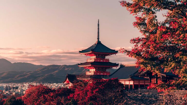 Osaka City English Private Tour Hotel Pickup Sightseeing - A Day Filled with Highlights and Custom Moments
