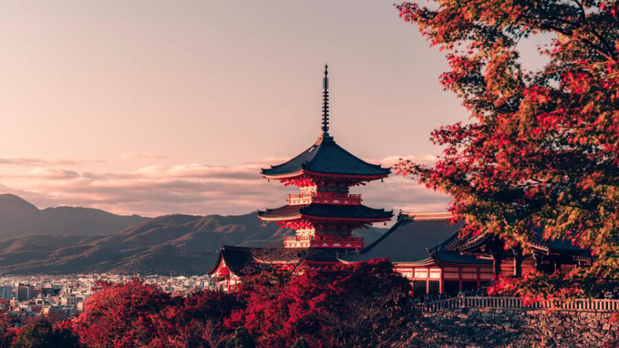 Osaka City English Private Tour Hotel Pickup Sightseeing - A Day Filled with Highlights and Custom Moments