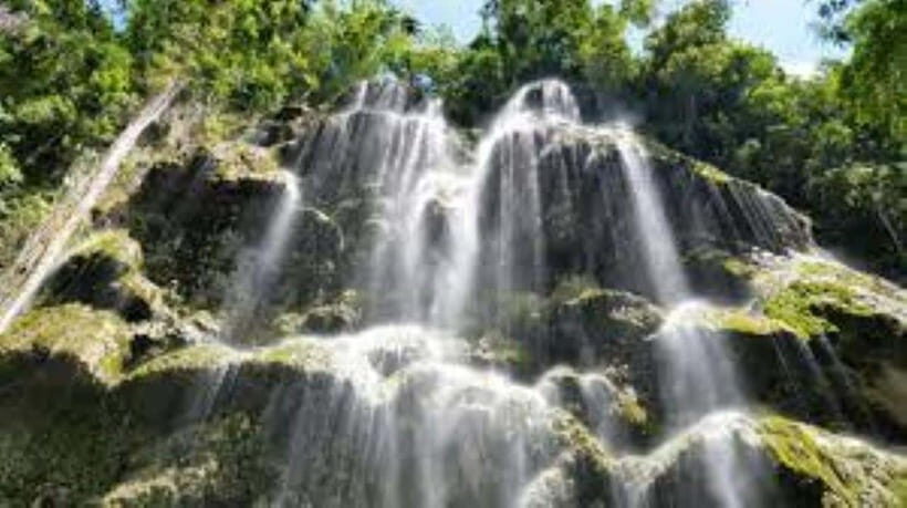 Oslob: Whaleshark Swimming, Tumalog Falls & Sumilon Island - How the Day Unfolds