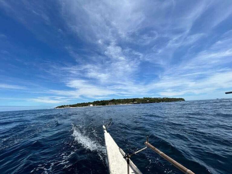 Pamilacan island: Dolphins, snorkel, lunch and walking tour - Detailed Breakdown of the Itinerary